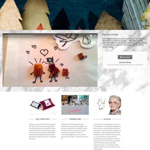 website design, ecommerce site, danvers, ma