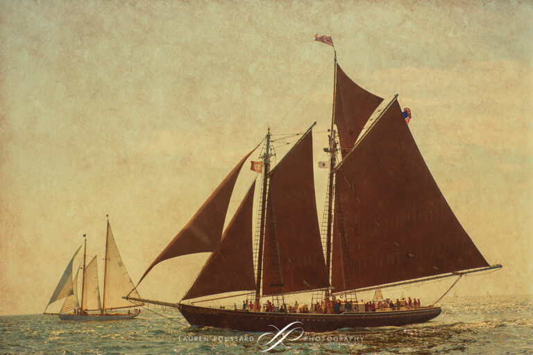 Schooner Festival Gloucester 2012