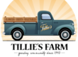 New Logo for Tillies Farm Peabody MA