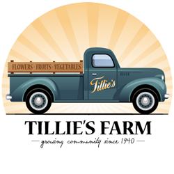 New Logo for Tillies Farm Peabody MA