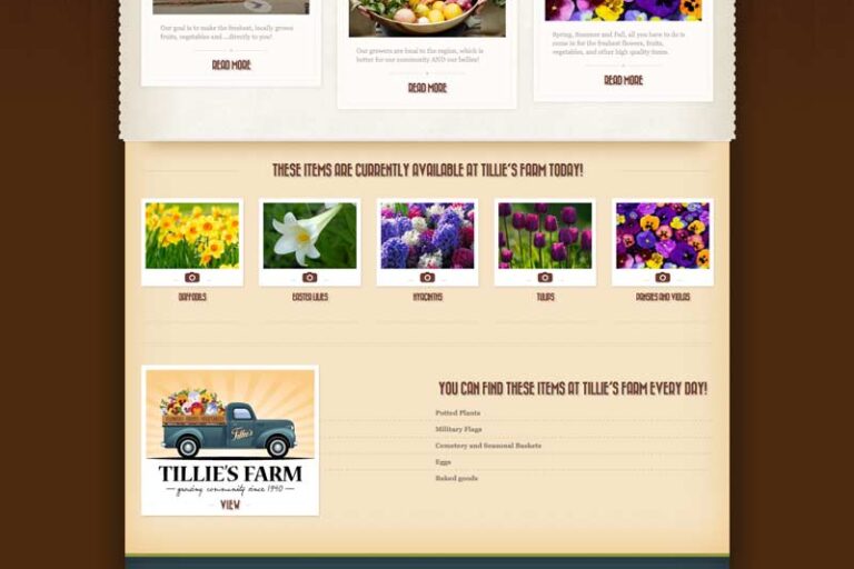 tillies farm new website design