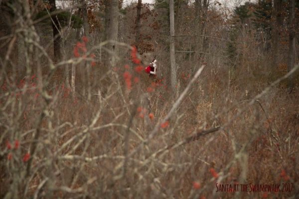 Santa at the Swampwalk photos with Santa Danvers for toys for Tots