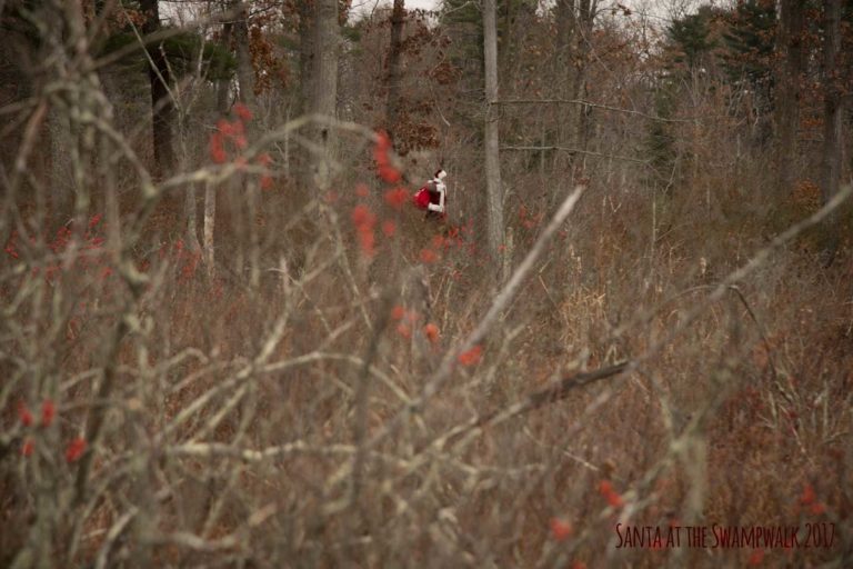 Santa at the Swampwalk photos with Santa Danvers for toys for Tots